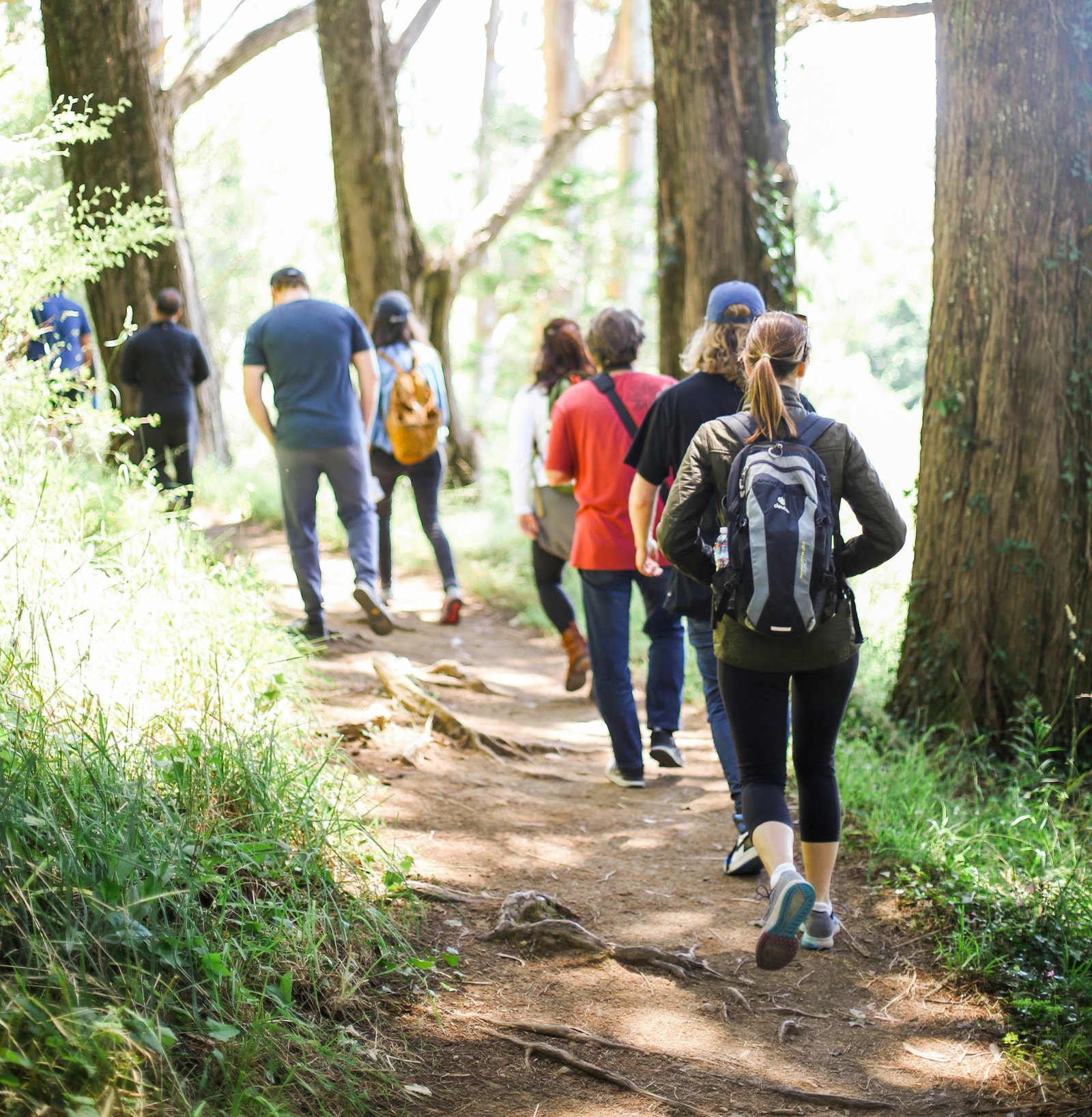 Eine Gruppe Menschen wandert durch einen Wald.