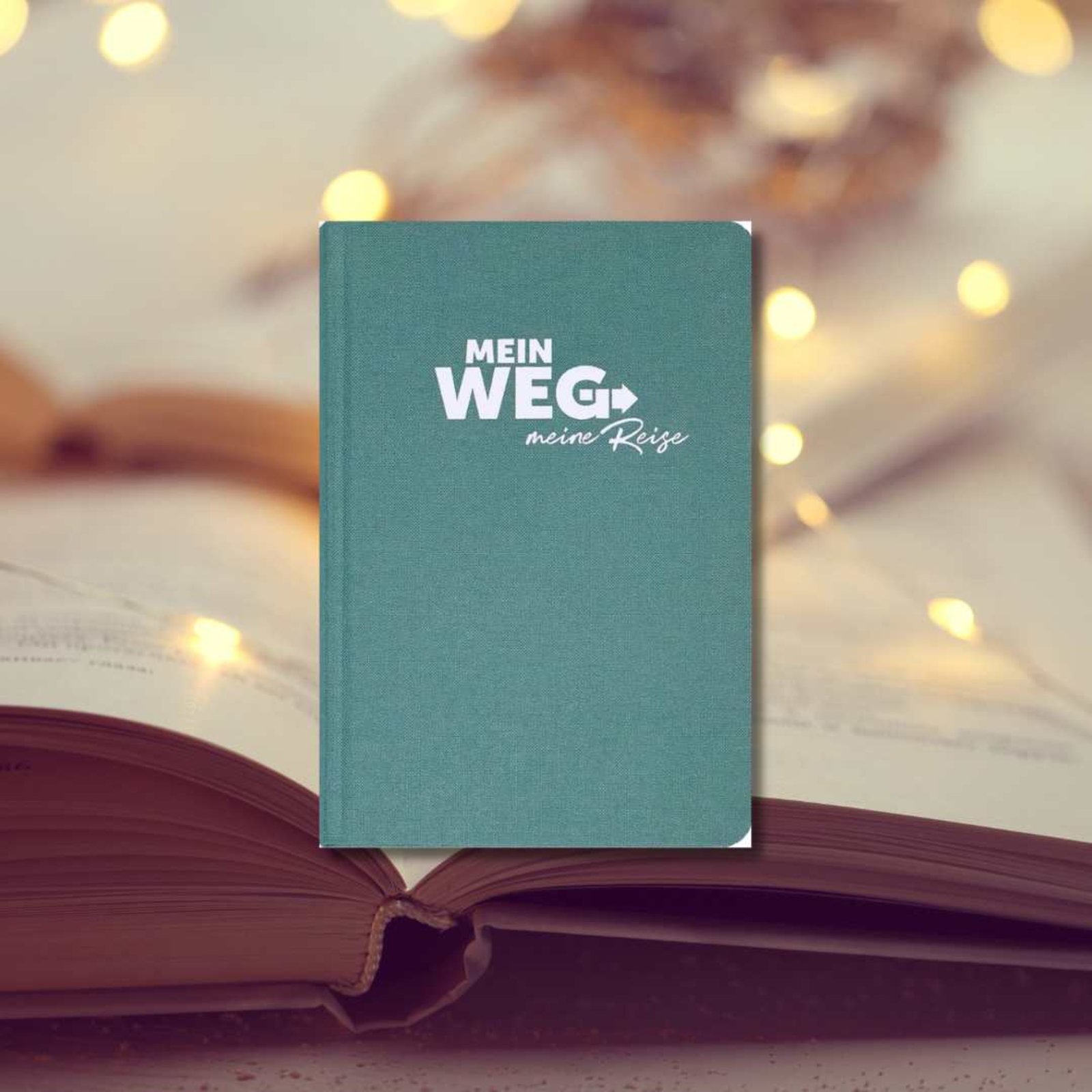 Buchcover "Marco Fraleoni: Mein Weg. Meine Reise.”