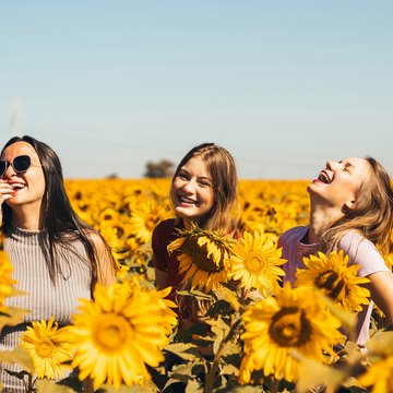 Drei junge Frauen stehen in einem Feld voller Sonnenblumen.
