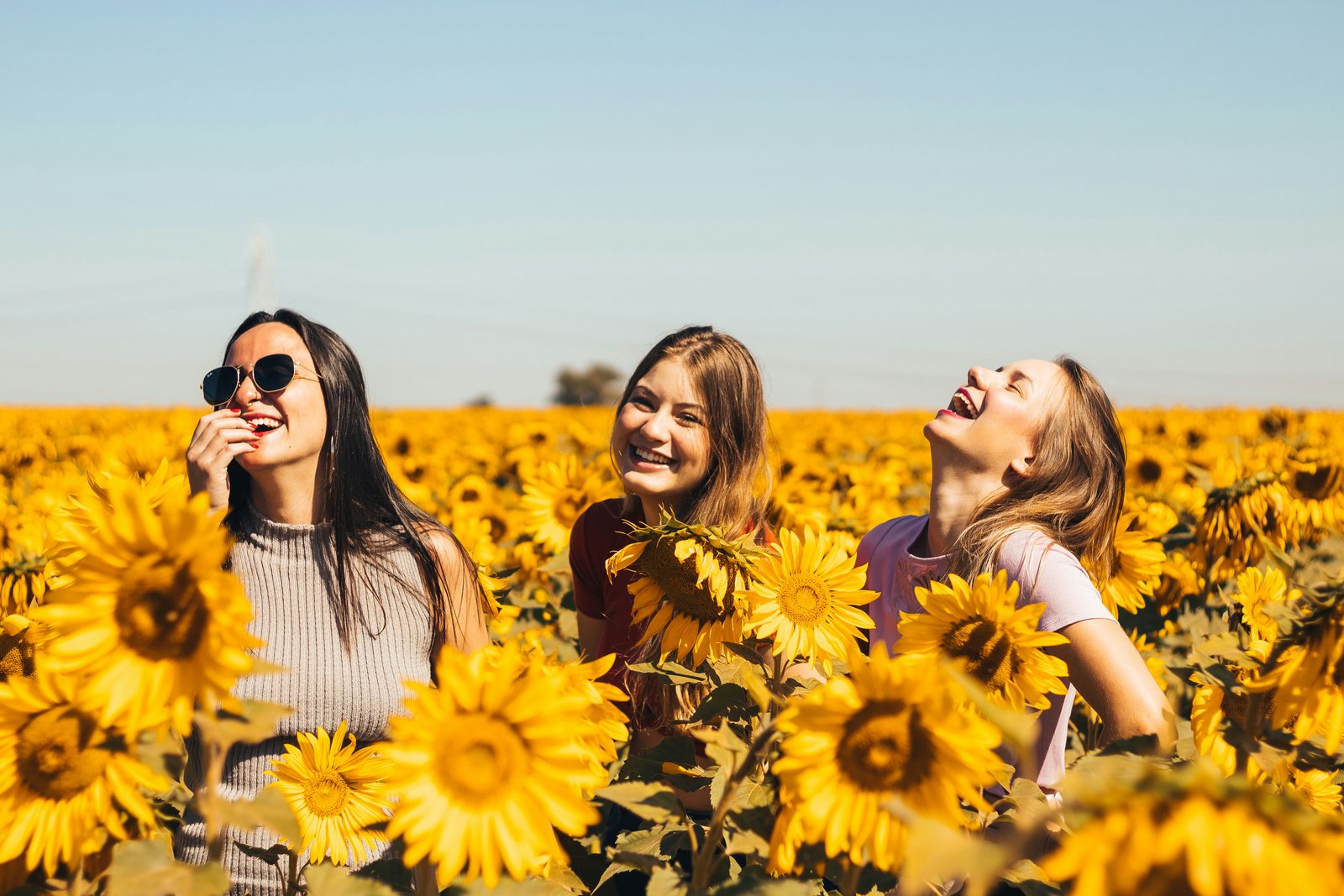 Drei junge Frauen stehen in einem Feld voller Sonnenblumen.