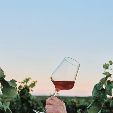 Weinglas in der Hand gegen den Himmel gehalten