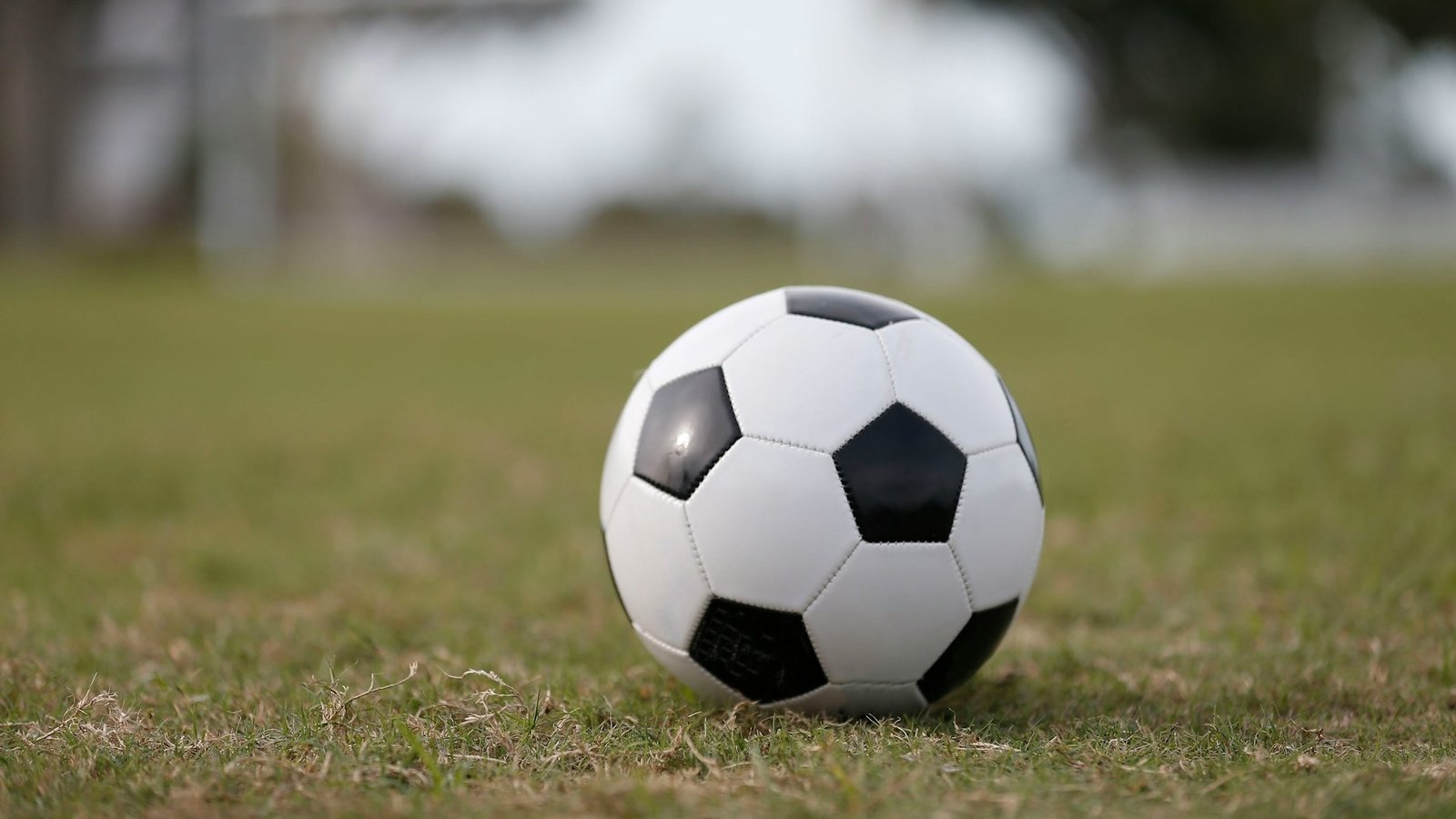 Ein Fußball liegt auf einer grünen Wiese