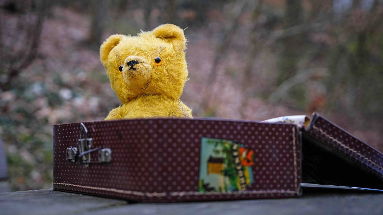 Ein geöffneter Kinderkoffer liegt auf einem Tisch. Darin befindet sich ein gelber Teddybär.
