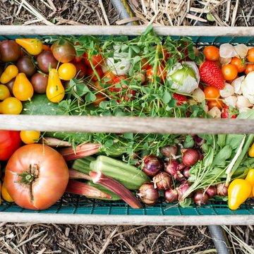 Ein Korb gefüllt mit bunten und verschieden Obst und Gemüsearten.