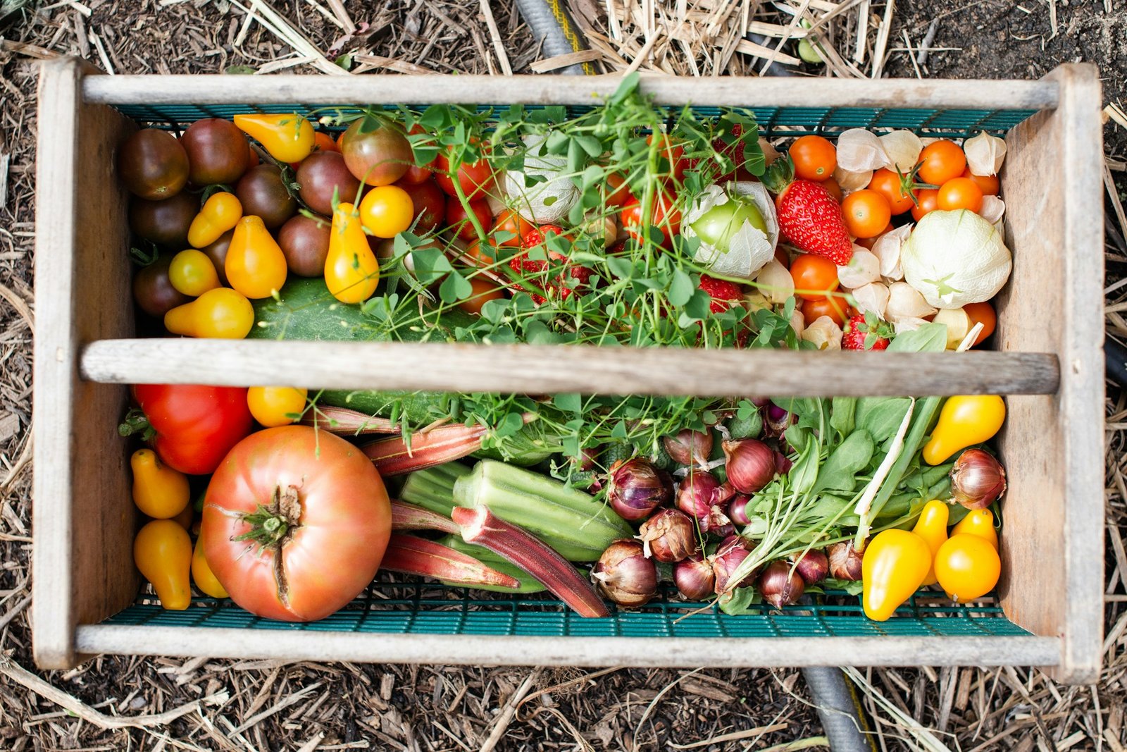 Ein Korb gefüllt mit bunten und verschieden Obst und Gemüsearten.