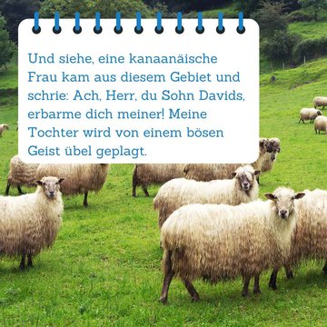 Bibelspruch im Vordergrund. Im Hintergrund sind Schafe zu sehen.