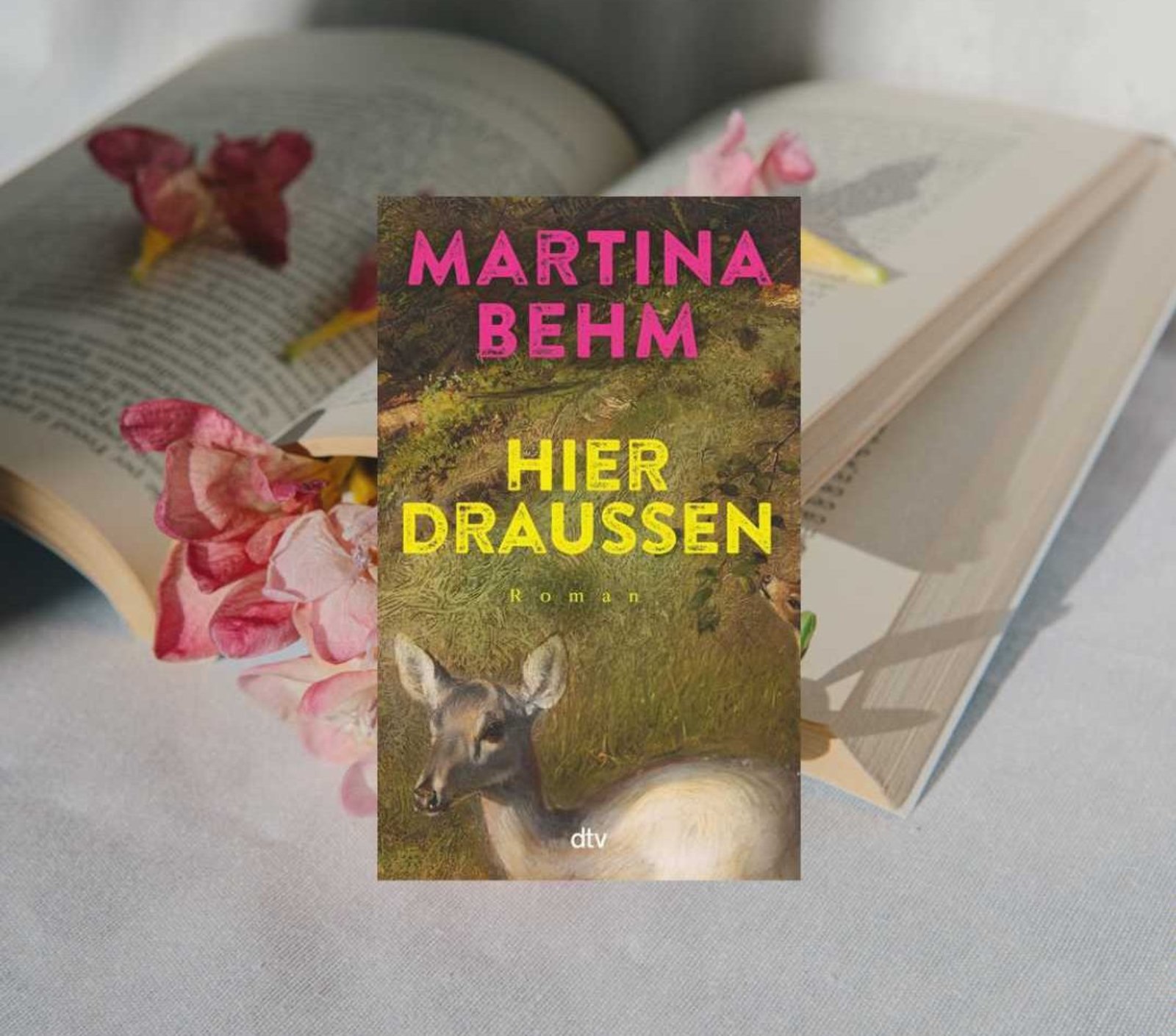 Das Bild zeigt das Cover des Buches "Hier draußen" von der Autorin Martina Behm.