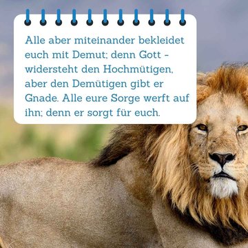 Bibelspruch im Vordergrund. Im Hintergrund ist ein Löwe zu sehen.