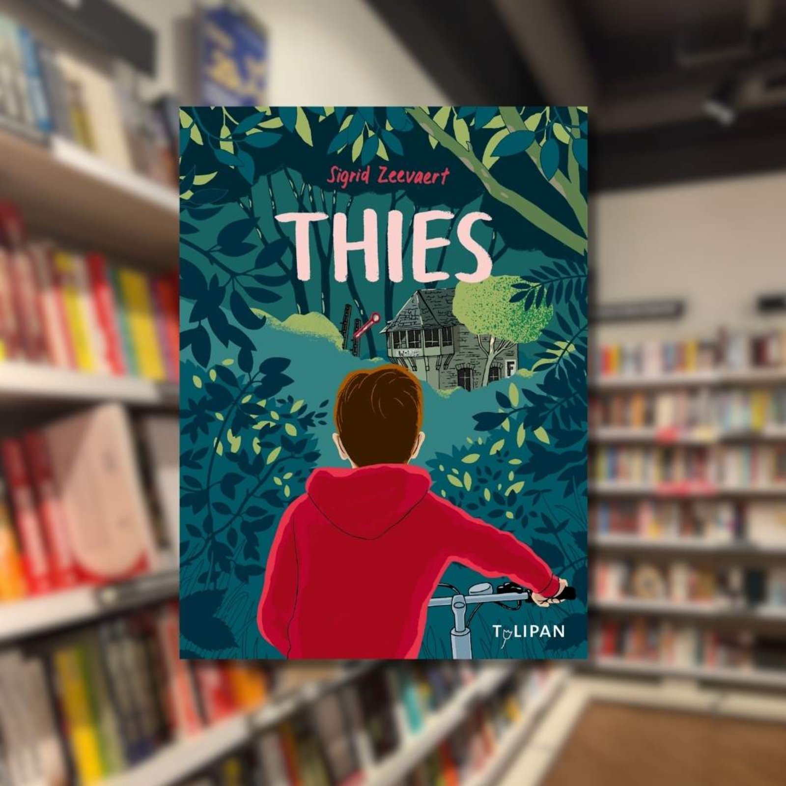 Buchtipp: „Thies“ im Vordergrund. Im Hintergrund ist ein Buchladen zu sehen.