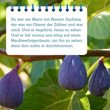 Bibelspruch im Vordergrund. Im Hintergrund befinden sich Feigen, die an einem Baum wachsen.