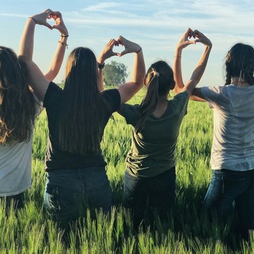 Vier junge Frauen stehen in einer grünen Wiese nebeneinander. 
