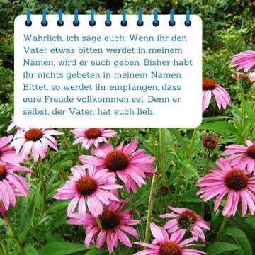 Bibelspruch im Vordergrund. Im Hintergrund befinden sich rosa Blüten.
