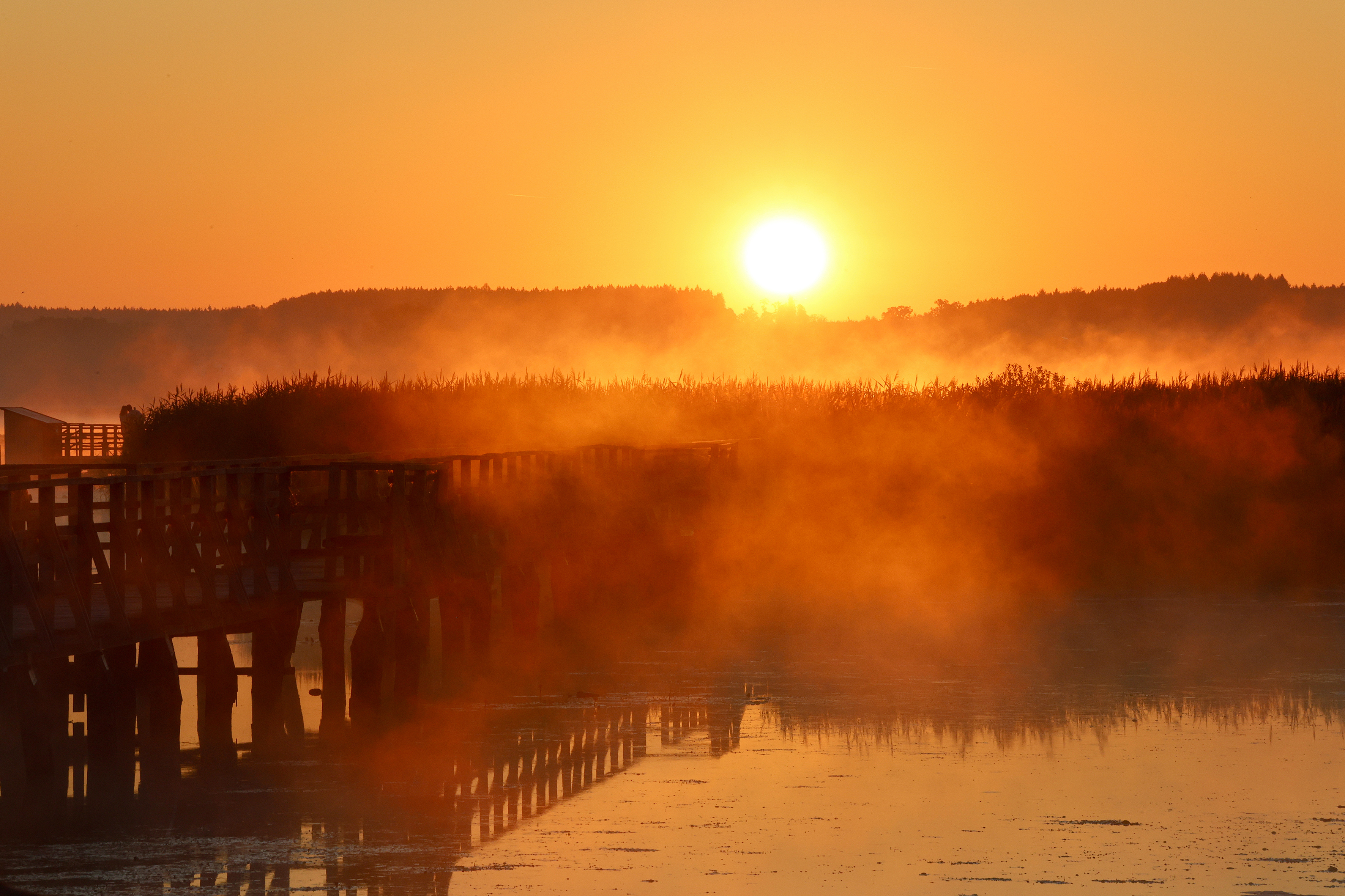 Sonnenuntergang über dem Federsee