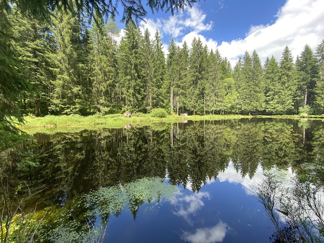 See umgeben von Tannen unter blauem Himmel mit weißen Wolken